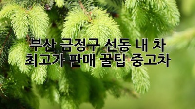 부산 금정구 선동, 내 차 최고가 판매 꿀팁🍯 #중고차