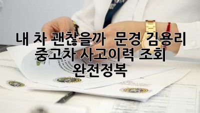 내 차 괜찮을까? 🚗 문경 김용리 중고차 사고이력 조회 완전정복!